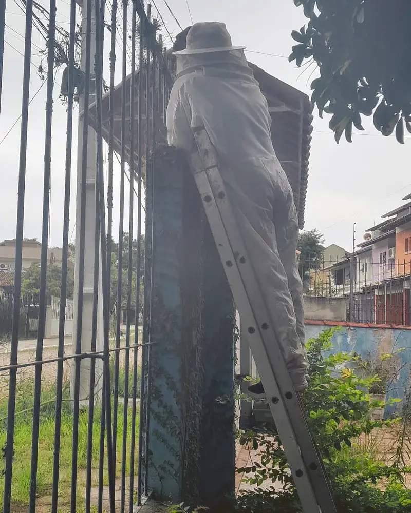 Profissional de macacão de proteção sobe uma escada de alumínio apoiada no muro de um pátio, ao lado do portão de grade.